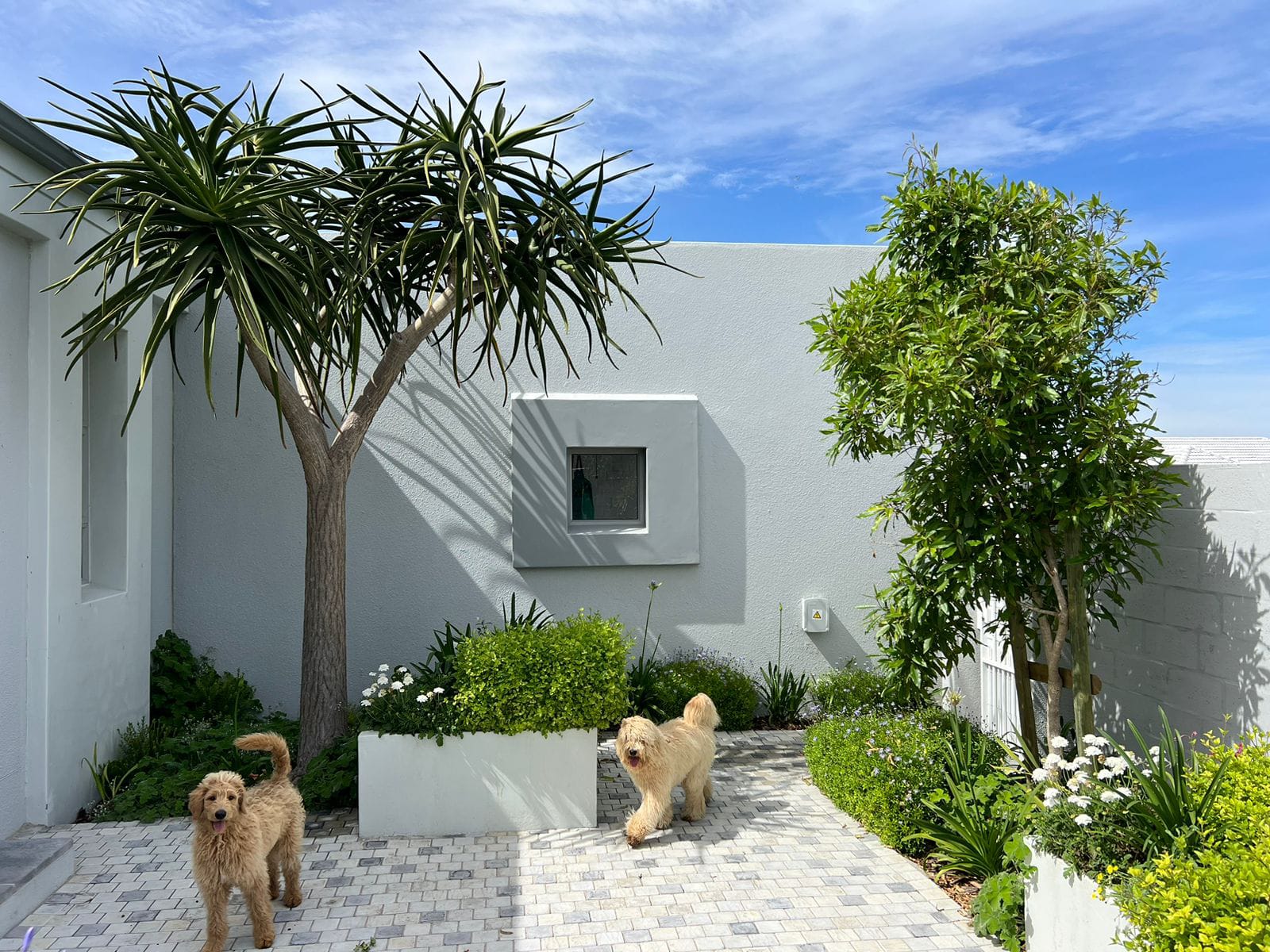 WhatsApp Image 2025-01-02 at 17.41.15_5f247921